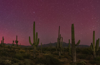 Top 5 Things to Do in Kingman, Arizona
